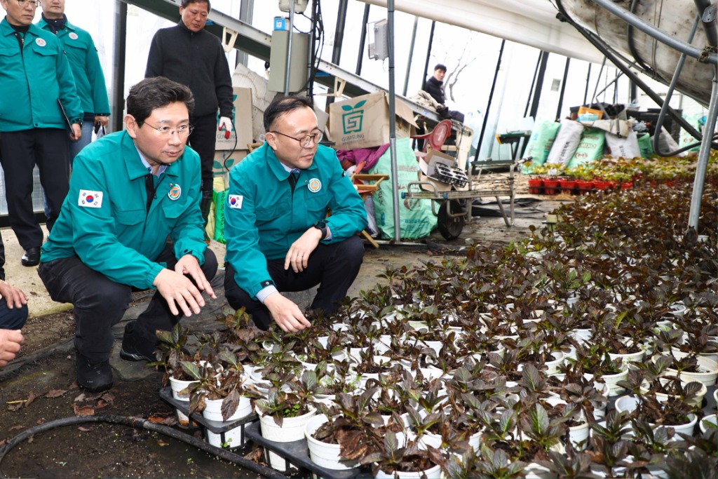 10-3.이상일 용인특례시장과 이한경 행정안전부 차관과 폭설 피해를 입은 처인구 남사읍 진목리 화훼농가 현장을 점검하고 있다..jpg