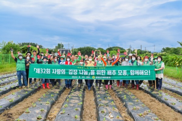 01 양평군새마을회 김장 나누기 배추 모종 식재(1).jpg