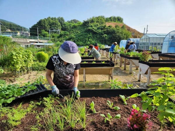 (0206)[농생명정책과]남양주시 2024년 커뮤니티 가든 