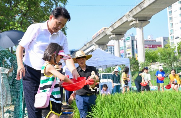 1.생태하천과(의정부시, 긴 장마 이겨낸 중랑천 벼농사 체험장에 오리 방사)4.JPG