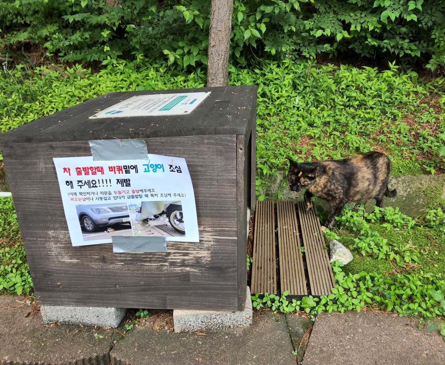 경기도, 길고양이와 함께하는 환경 조성. 올해 중성화수술, 급식소 설치 등 지원