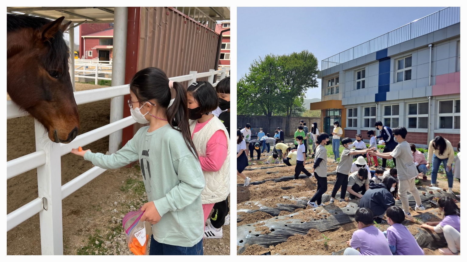 학교자율과제, 학교 운영의 패러다임 바꾸다