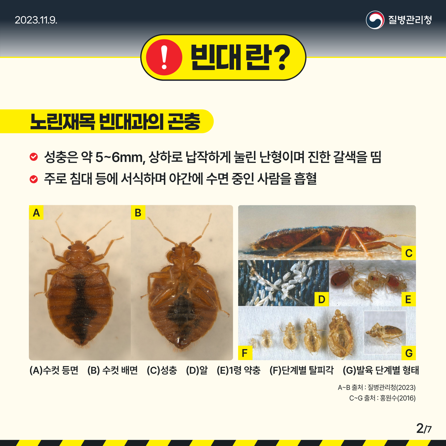 수원시가 ‘빈대 신고센터’를 운영한다.