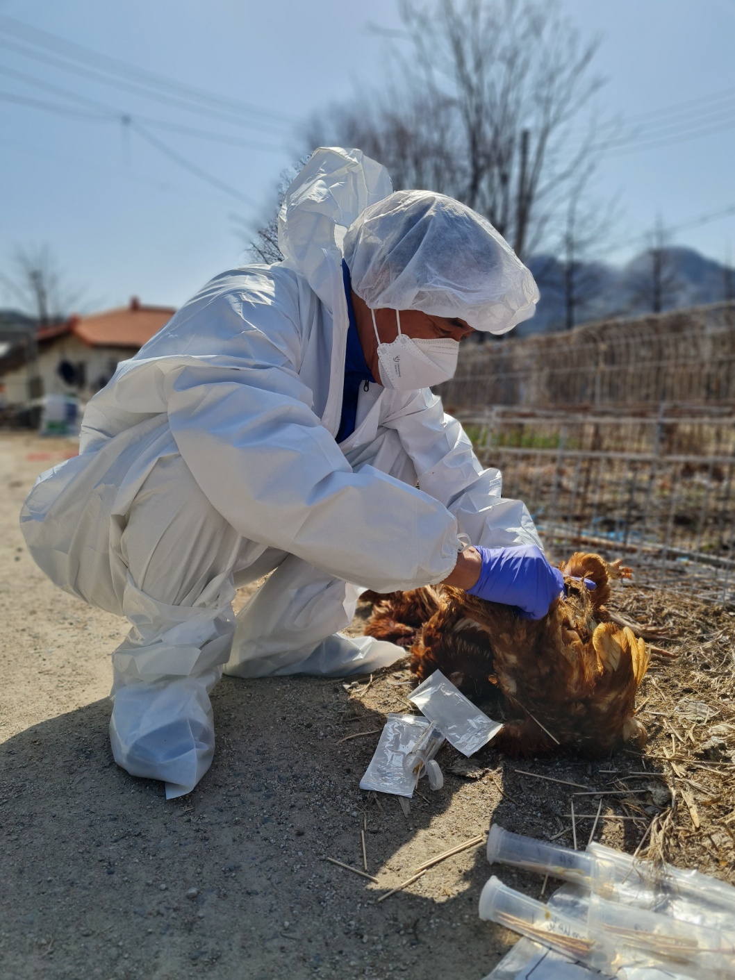 경기도, 가축 전염병 차단에 퇴직 가축방역관 7명 투입. 사회공헌사업 추진