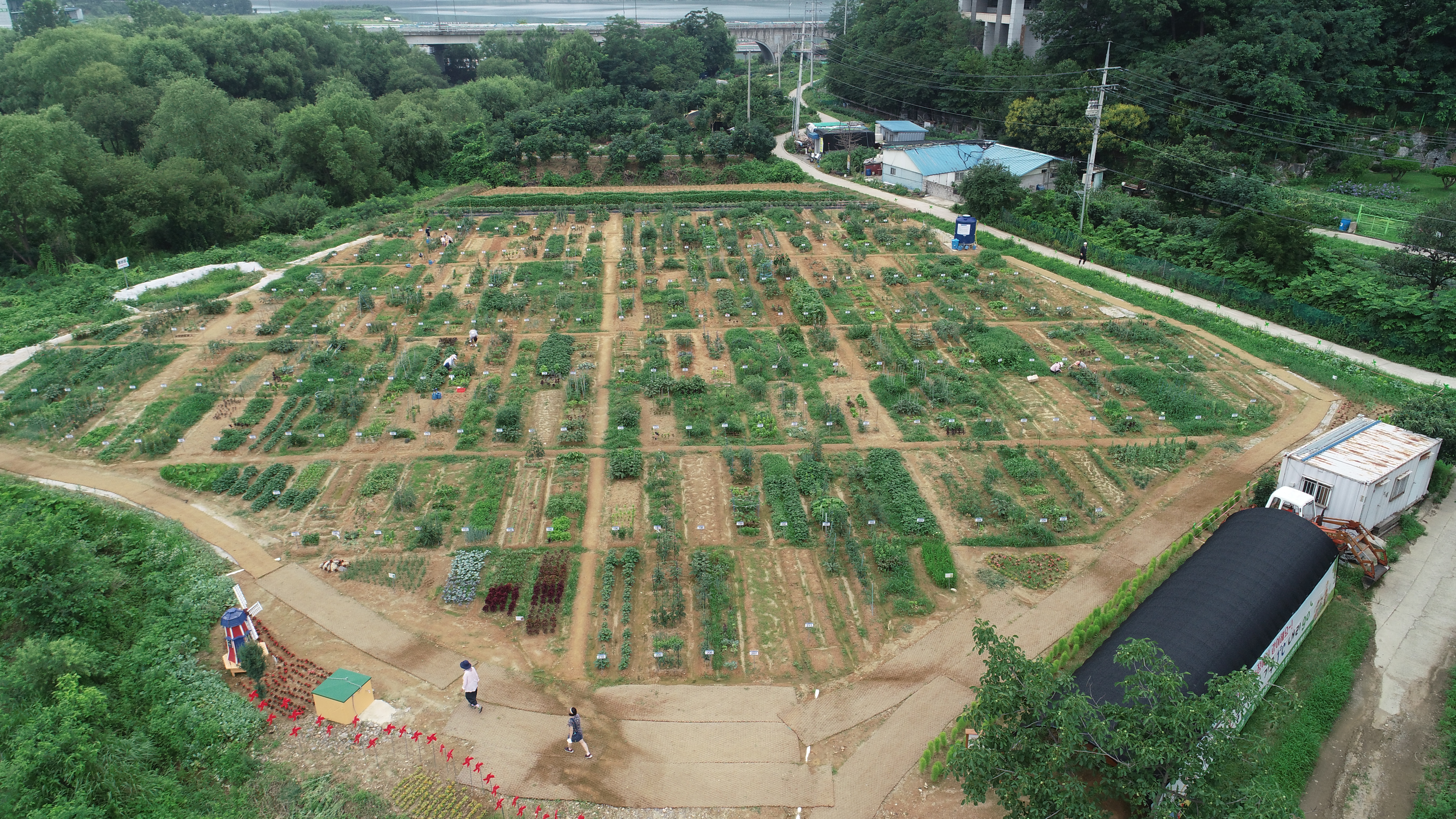 용인특례시, 공세동 시민농장...텃밭 가꿀 시민 농부 800팀 모집