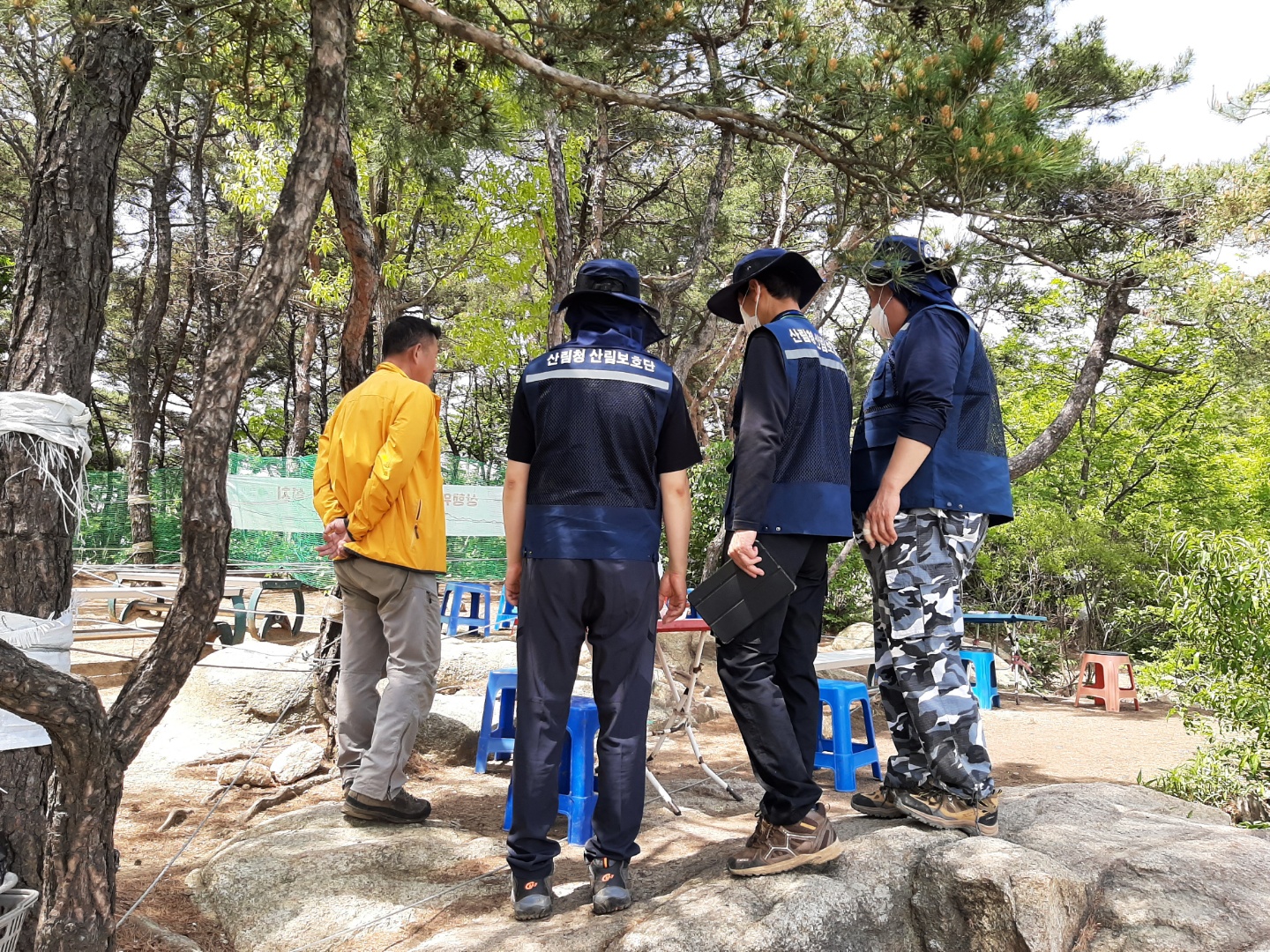 북부지방산림청,상반기 산림 내 불법행위 147건 적발