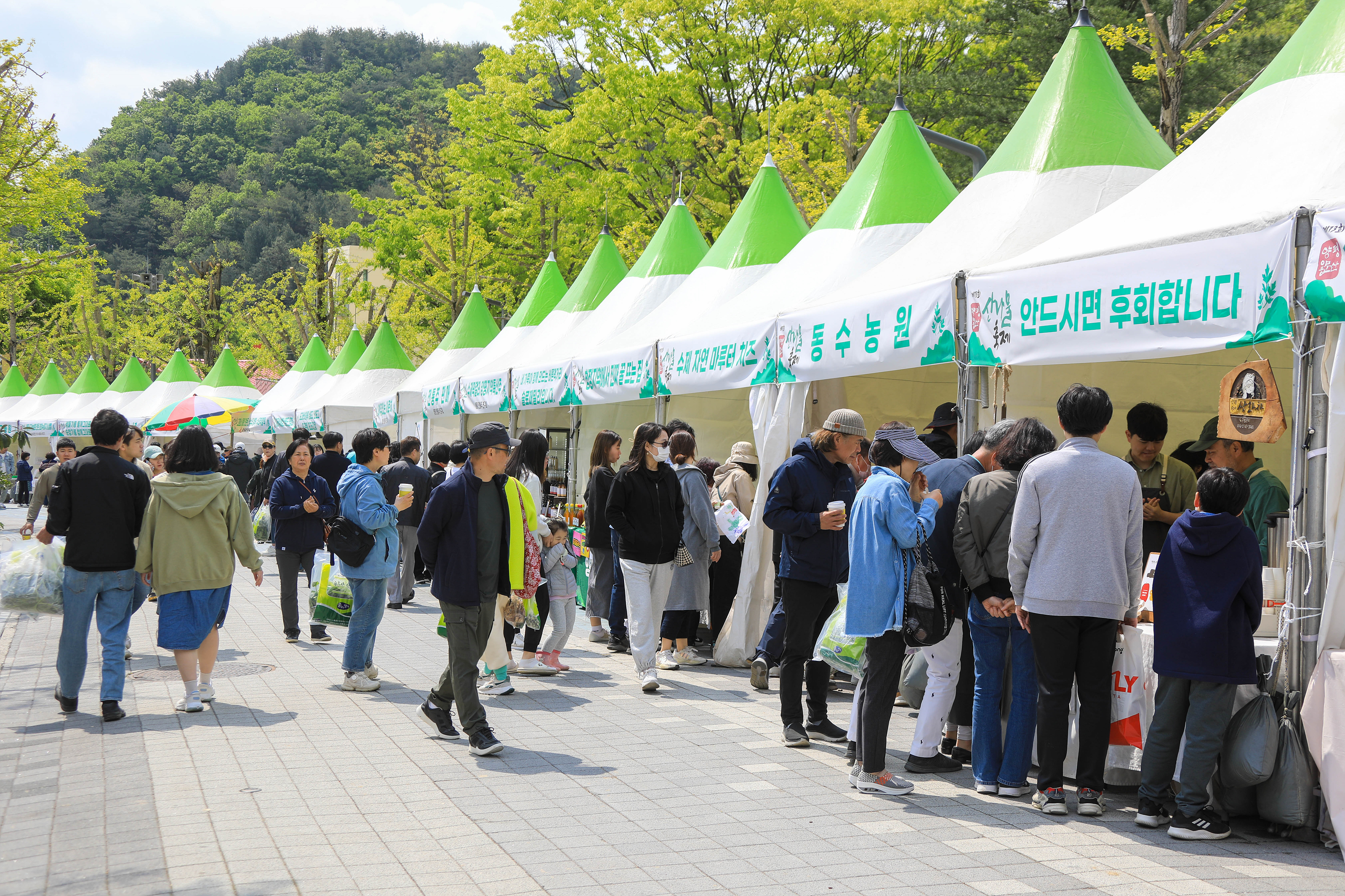 양평 용문산 산나물축제, 경기관광축제 ‘우수 축제’ 선정