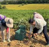 송석준 국회의원, 이천지역 농가 현장 방문...“지원방안 등 모색”