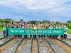 양평군새마을회,‘사랑의 김장 나누기’행사를 위한 배추 모종 식재