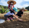 포천시농업기술센터, '소확행 시민텃밭' 가족단위 회원 모집