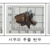 1980년 5·18 당시 도청 진압 상황을 추정할 수 있는 일부 탄두 추출